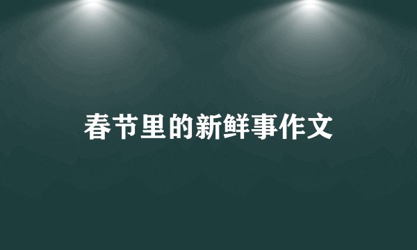 春节里的新鲜事作文