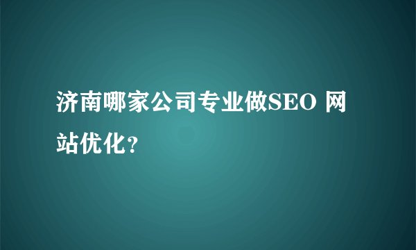济南哪家公司专业做SEO 网站优化？