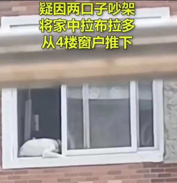 北京一户居民疑因吵架把狗推下4楼,夫妻吵架为何要迁怒到狗的身上?
