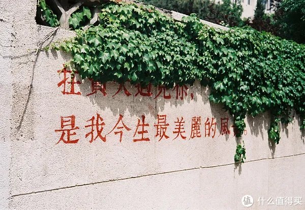 3款有意思的旁轴胶片相机:禄来35S,美能达TC-1,徕卡minilux
