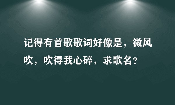 记得有首歌歌词好像是，微风吹，吹得我心碎，求歌名？
