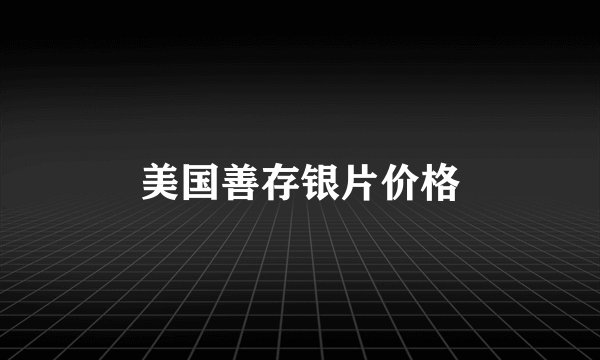 美国善存银片价格