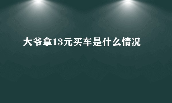 大爷拿13元买车是什么情况