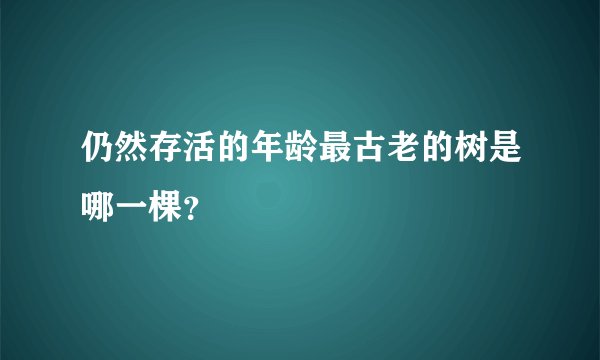 仍然存活的年龄最古老的树是哪一棵？