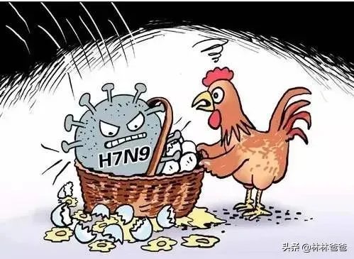 冯佳文 寿光