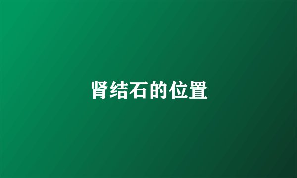 肾结石的位置