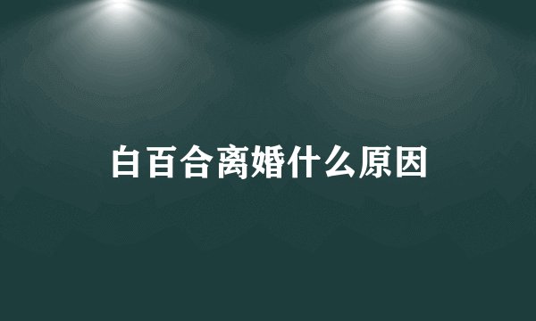 白百合离婚什么原因