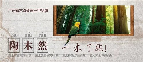 最新2018木纹砖十大品牌排名 助您选购木纹砖一臂之力