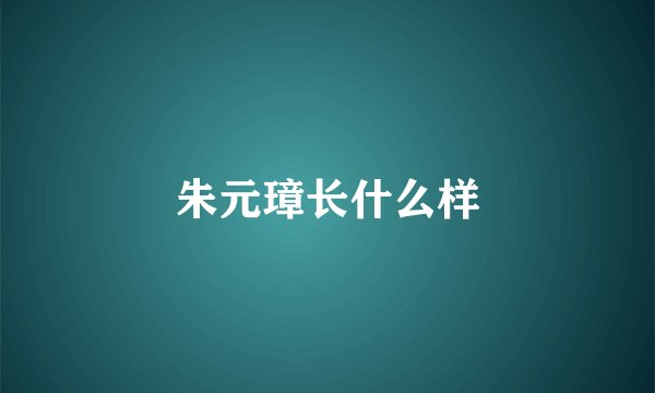 朱元璋长什么样