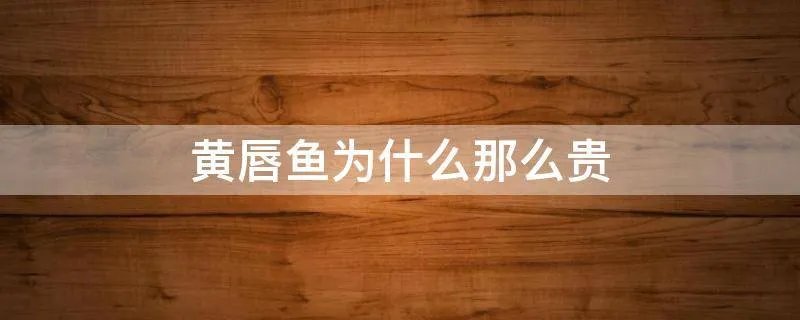 黄唇鱼为什么那么贵