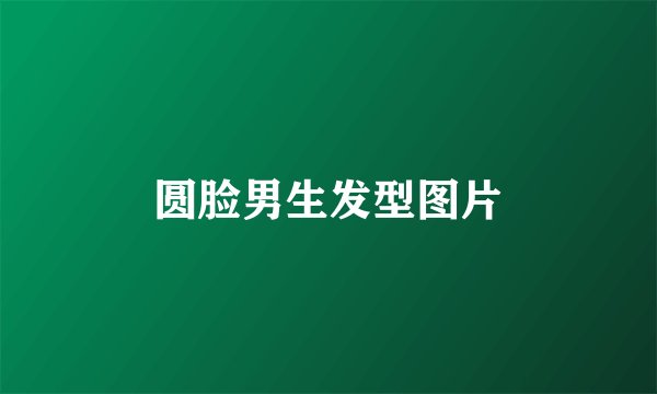 圆脸男生发型图片