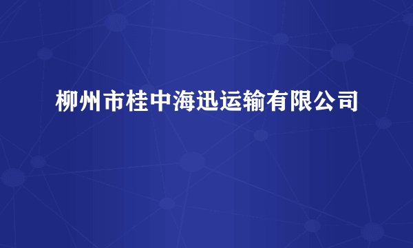 柳州市桂中海迅运输有限公司