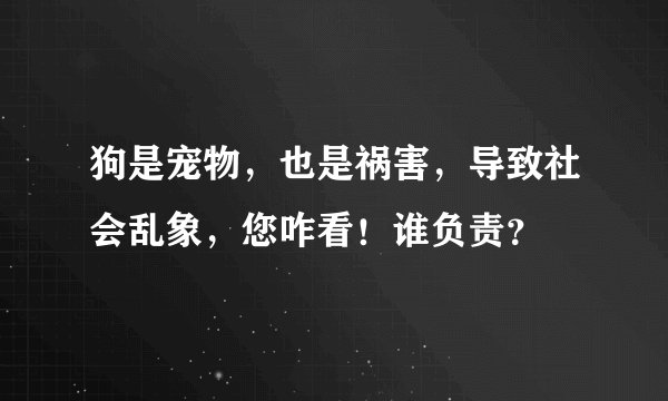 狗是宠物，也是祸害，导致社会乱象，您咋看！谁负责？