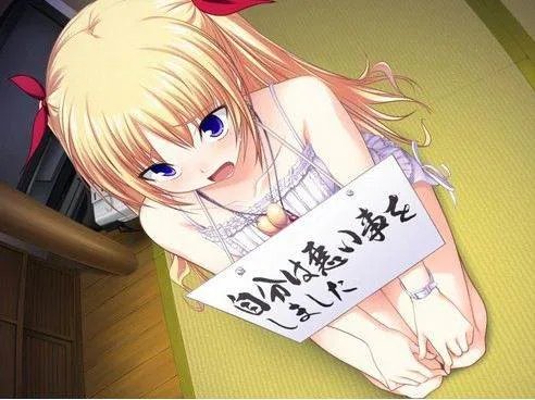 海贼王冠的游戏介绍