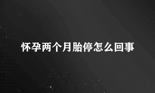 怀孕两个月胎停怎么回事