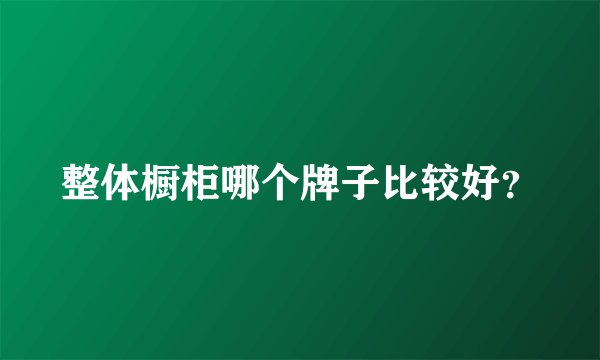 整体橱柜哪个牌子比较好?