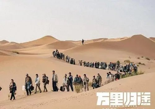 《万里归途》真实事件原型,利比亚撤侨撤了多少人,是哪一年?