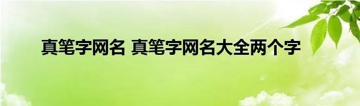 真笔字网名 真笔字网名大全两个字