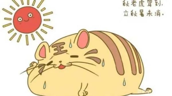 2021年什么时候立秋?立秋后天气怎样?