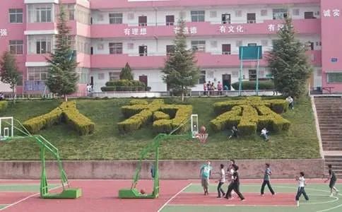校园的作文
