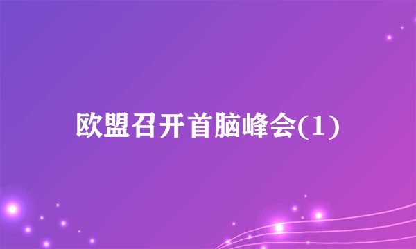 欧盟召开首脑峰会(1)