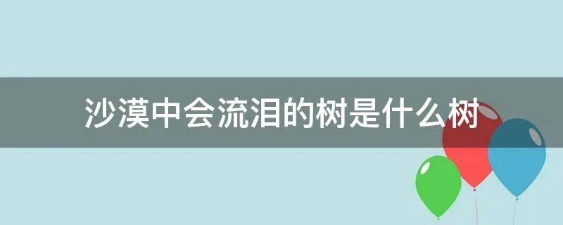沙漠中会流泪的树是什么树