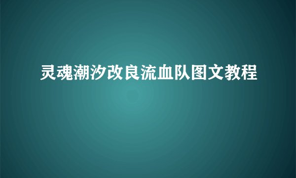 灵魂潮汐改良流血队图文教程