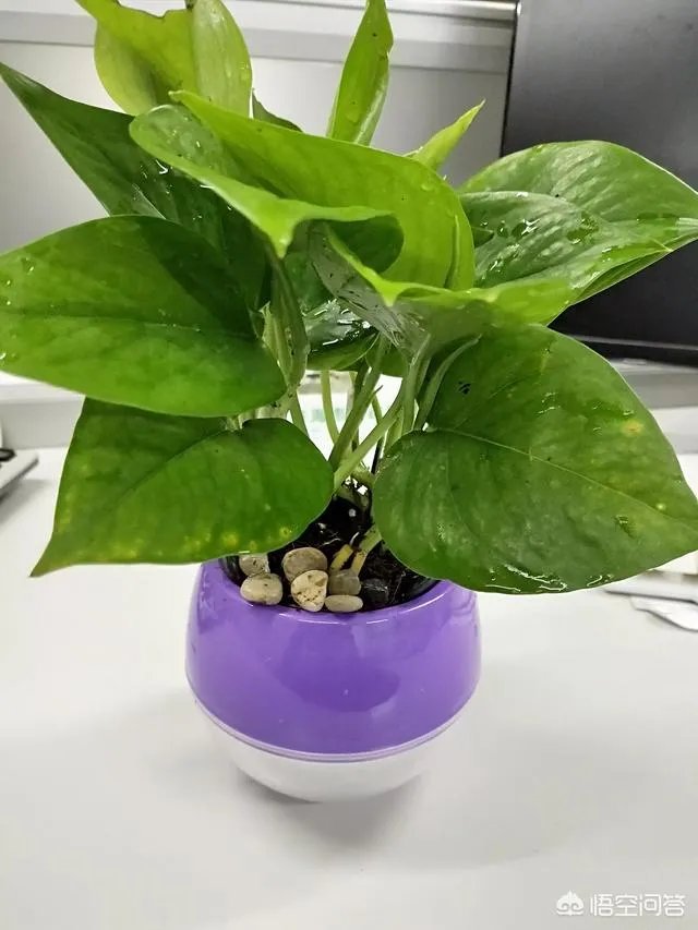 闺蜜和男朋友有暧昧该怎么办?