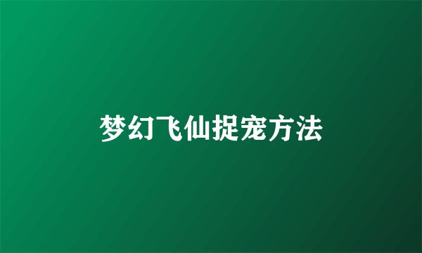 梦幻飞仙捉宠方法