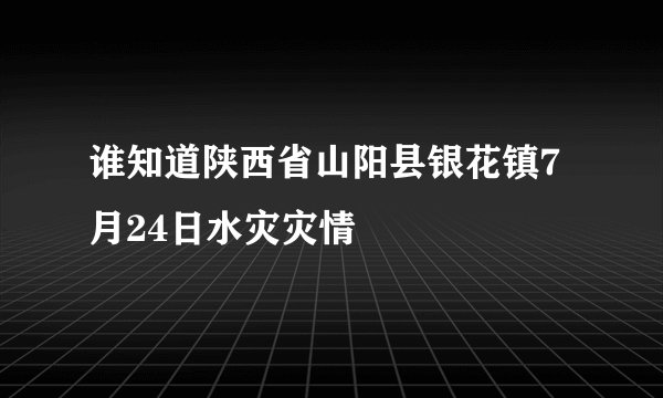 谁知道陕西省山阳县银花镇7月24日水灾灾情