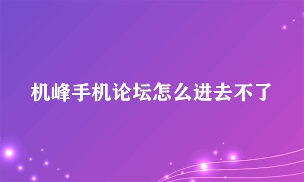 机峰手机论坛怎么进去不了