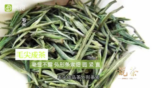 毛峰和毛尖的区别