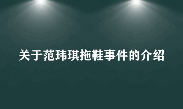 关于范玮琪拖鞋事件的介绍