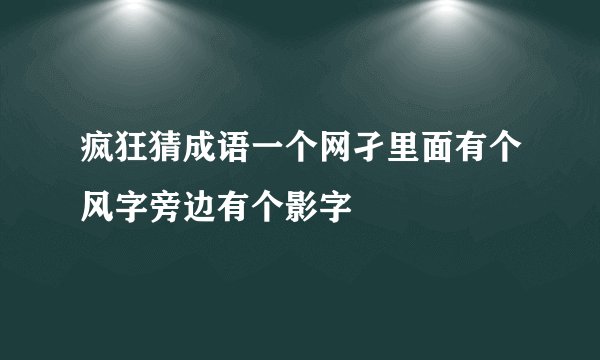 疯狂猜成语一个网孑里面有个风字旁边有个影字