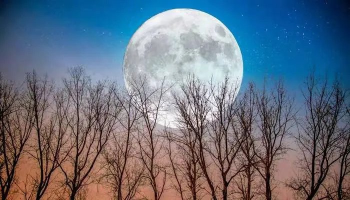 中秋之夜,皓月当空,长期漂泊海外的诗句