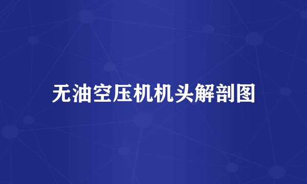 无油空压机机头解剖图