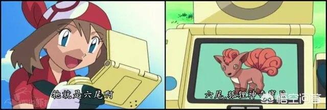 《宠物小精灵》里面有多少种神奇宝贝图鉴?功能都一样吗?