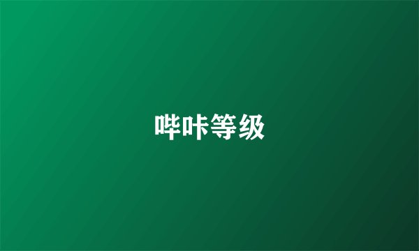 哔咔等级