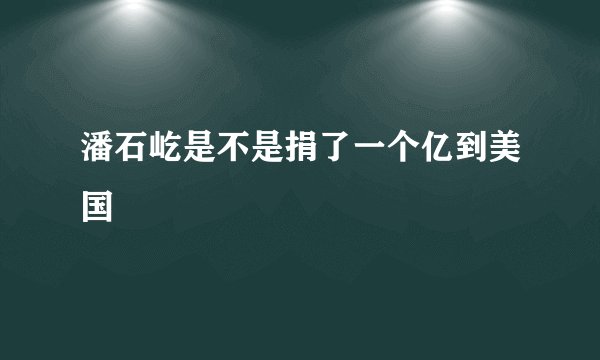 潘石屹是不是捐了一个亿到美国