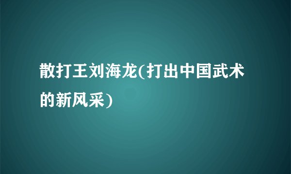 散打王刘海龙(打出中国武术的新风采)