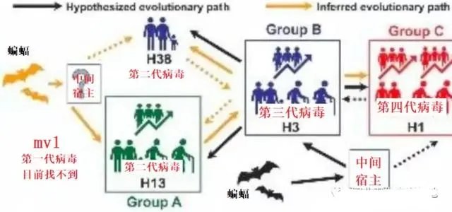 中国疫情第四代传染率甚低,为何意大利这么厉害属于几代?