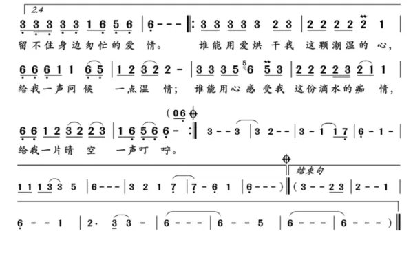 潮湿的心 歌词