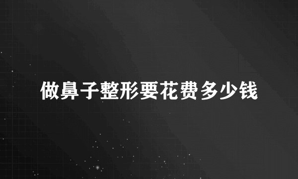 做鼻子整形要花费多少钱