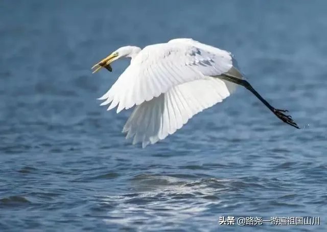 如何评价亚洲杯国足被韩国补时绝杀?