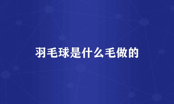 羽毛球是什么毛做的