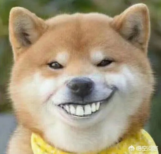 朴树发新歌了,为何从春节做到4月?