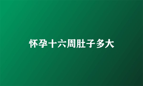 怀孕十六周肚子多大