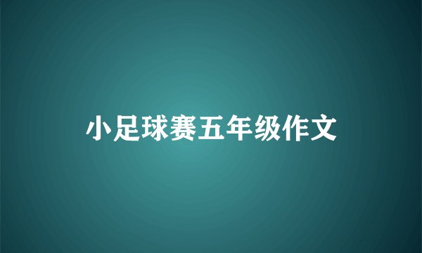 小足球赛五年级作文
