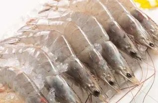 南美冻虾检出新冠只是一条误读引发的不是新闻吗?