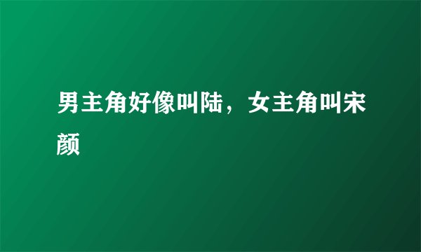 男主角好像叫陆,女主角叫宋颜